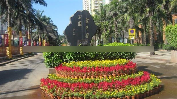 海口市容市貌与城市特色介绍